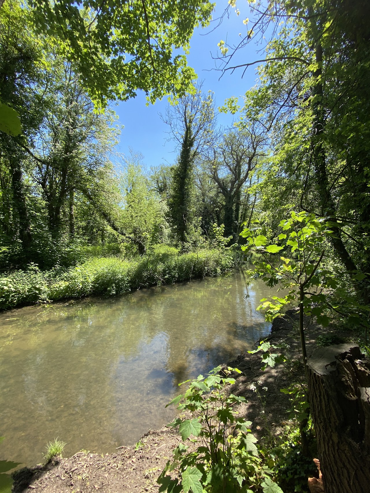 Lullingstone Country Park Kent