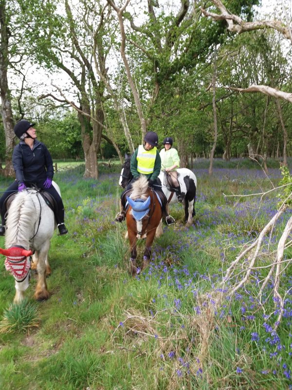 Lulworth Equestrian Centre