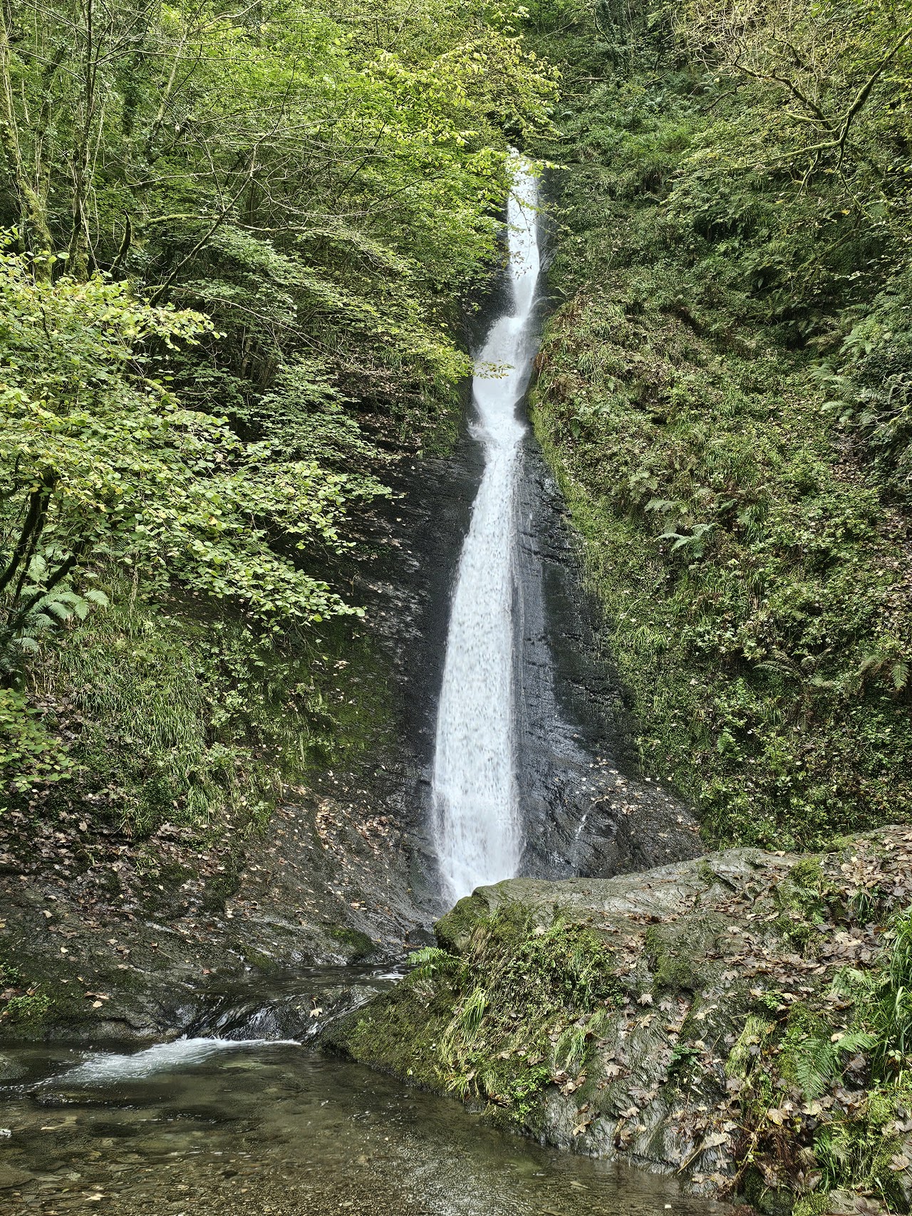 Lydford Gorge