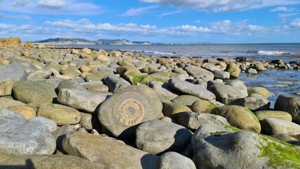 Lyme Regis Treasure Hunt Trail