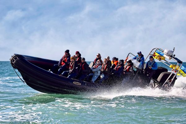 Lyme Rib Rides