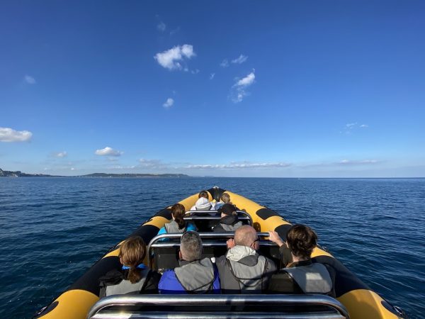 Lyme Rib Rides