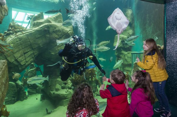 Macduff Marine Aquarium