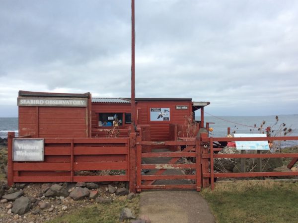 Machrihanish Seabird Observatory