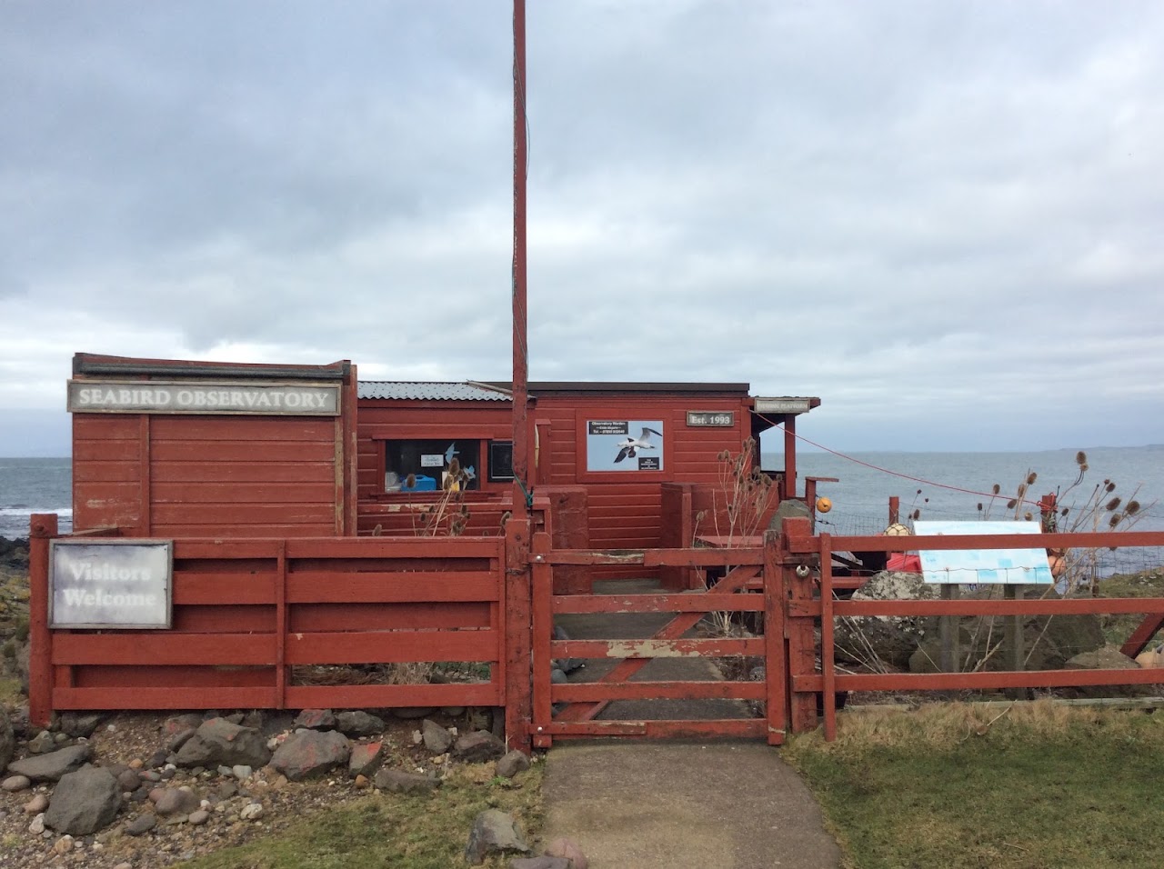Machrihanish Seabird Observatory