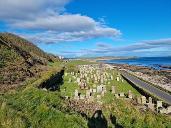 Machrihanish Seabird Observatory