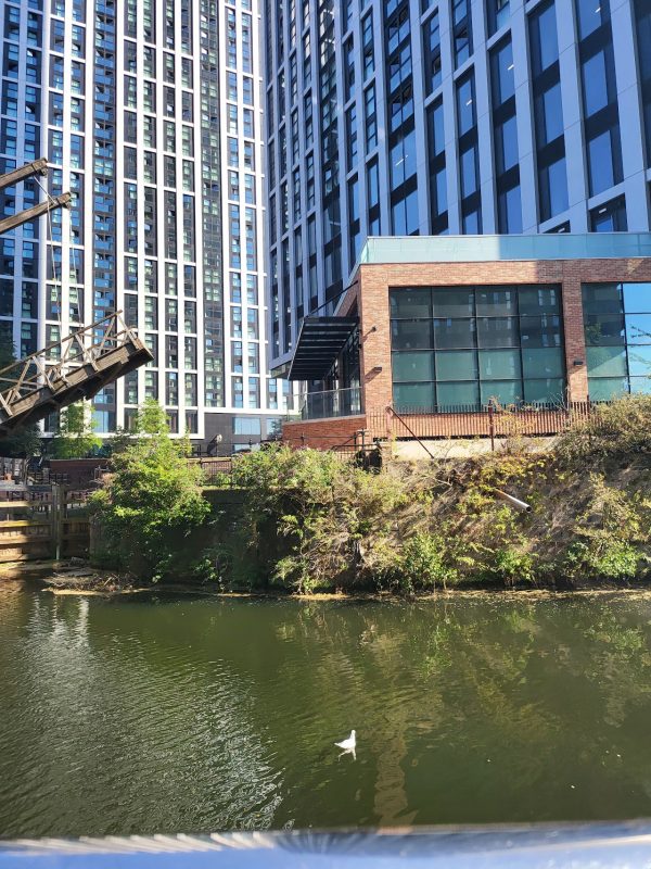 Manchester River Cruises