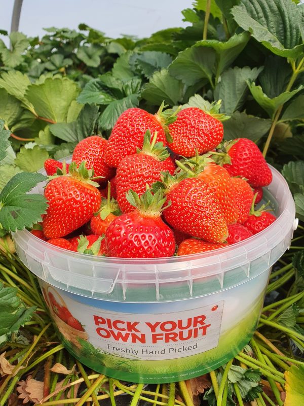 Manor Farm Fruits
