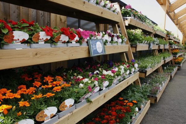 Marlow Garden Centre
