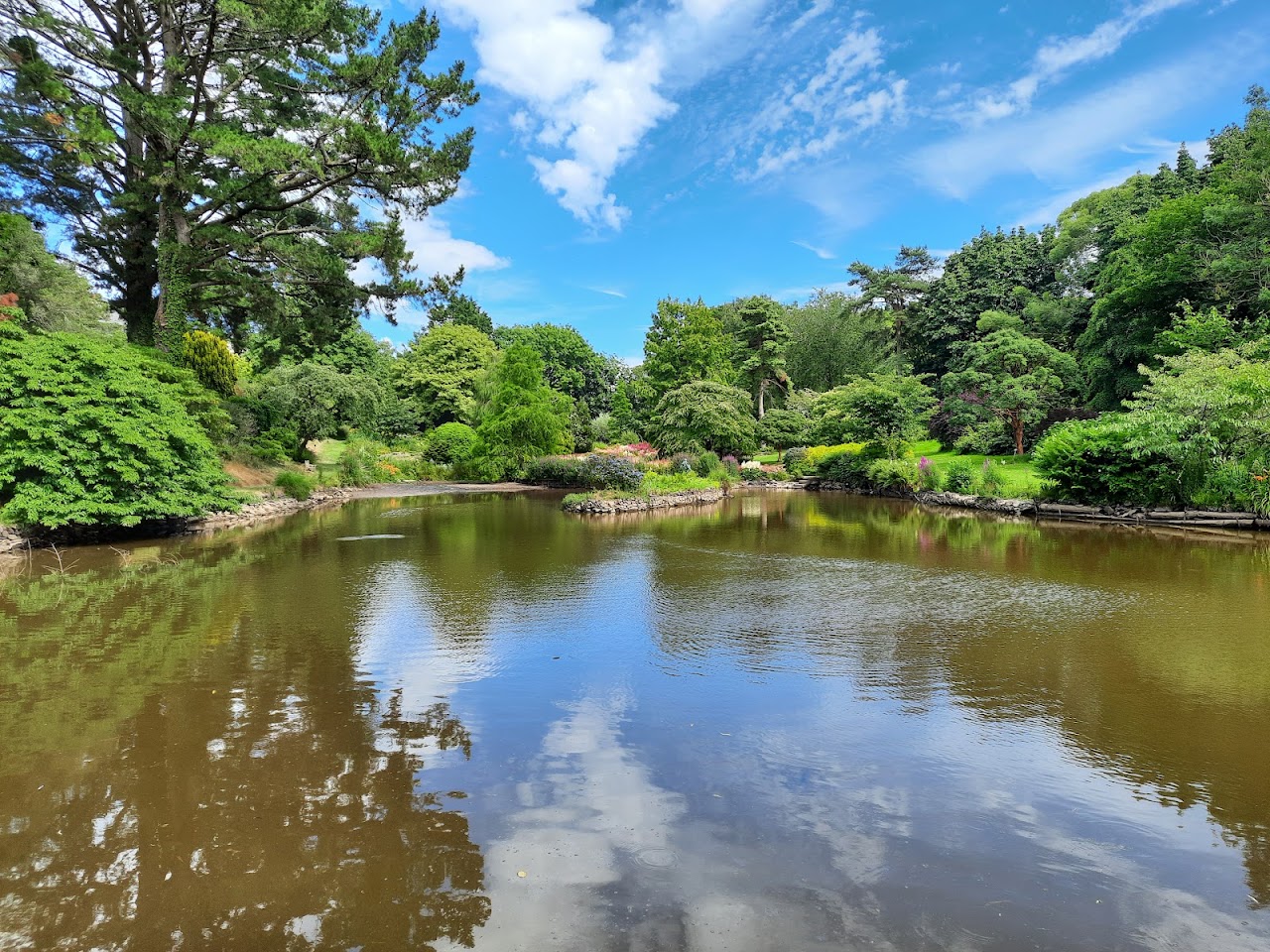 Marwood Hill Gardens