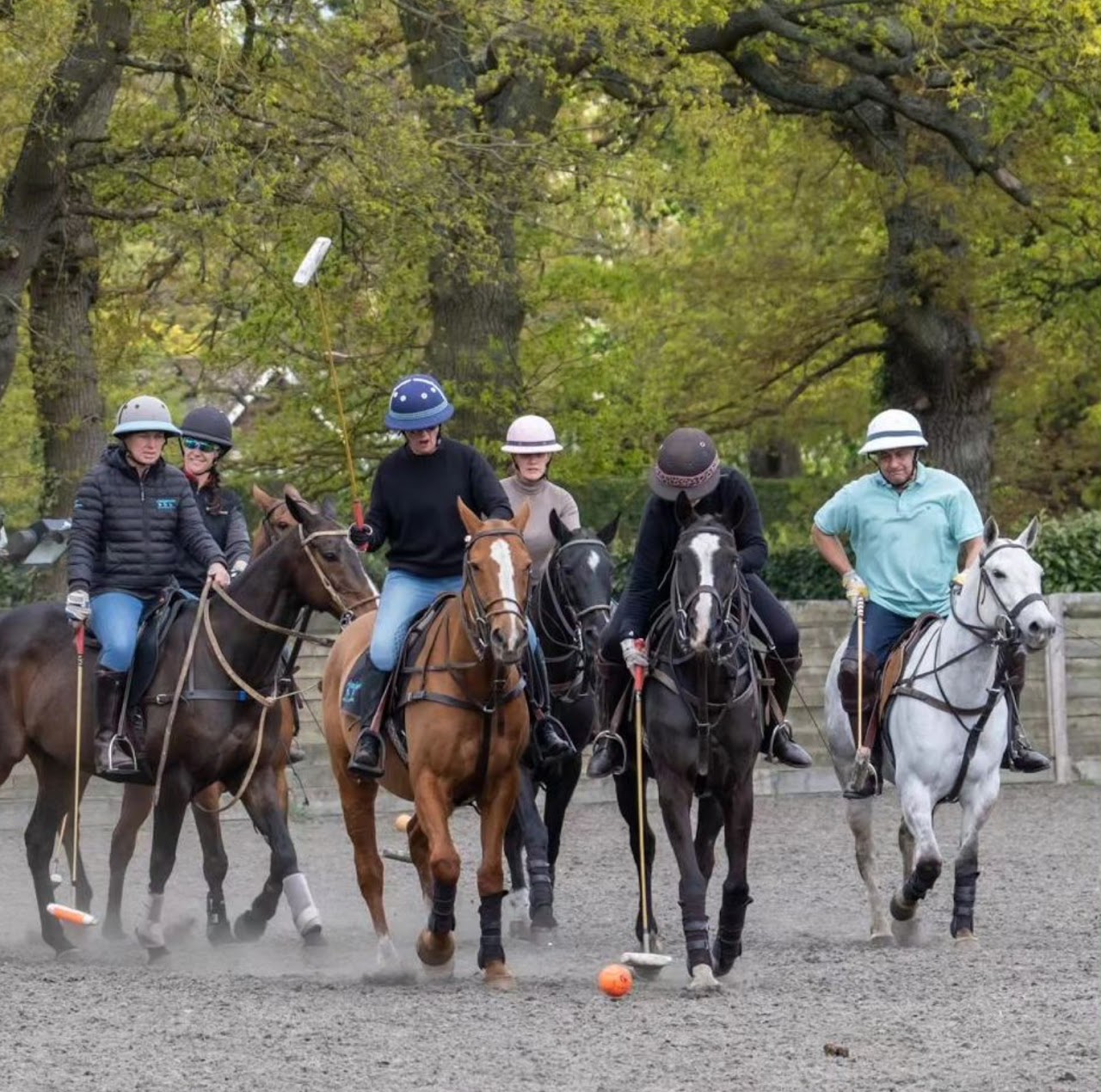 Minninnooka Polo Day