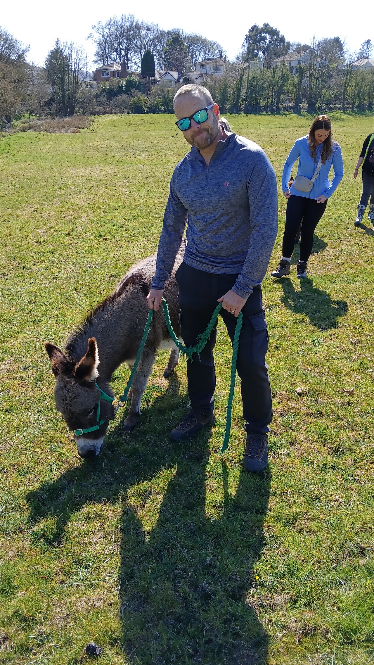 Moel Famau Donkeys