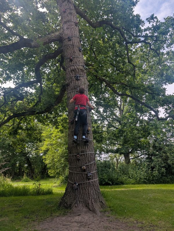 Mojo Active High Ropes Adventure