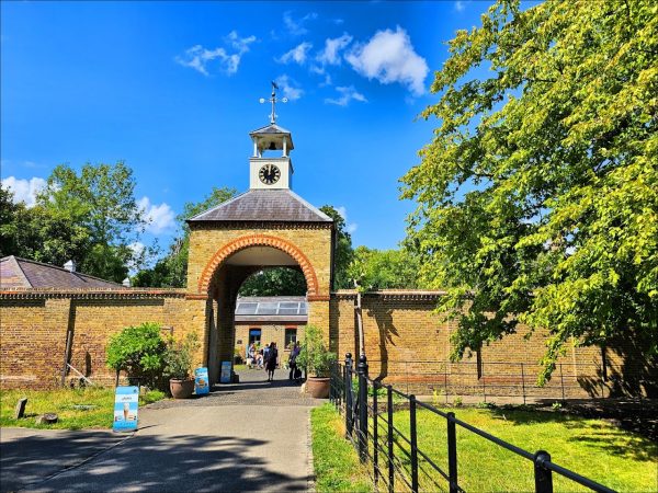 Morden Hall Park