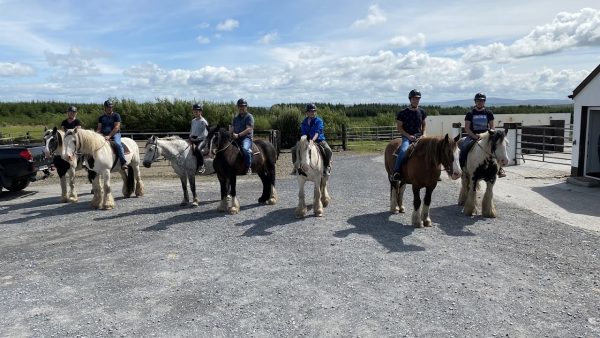 Mountain View Trekking and Horse RIding