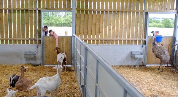 Mrs Dowsons Farm Park