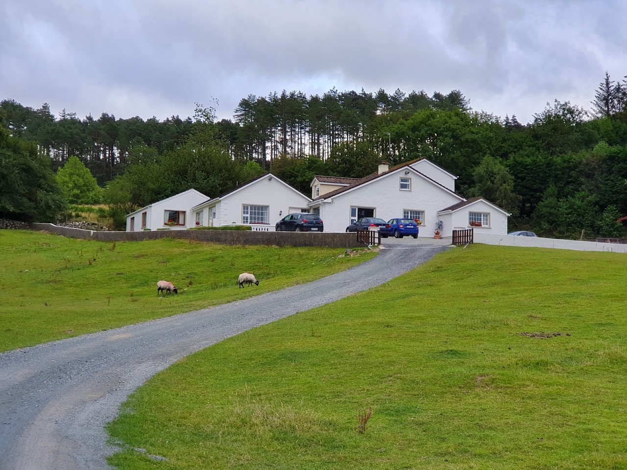 Muckross Riding Stables and Pet Farm