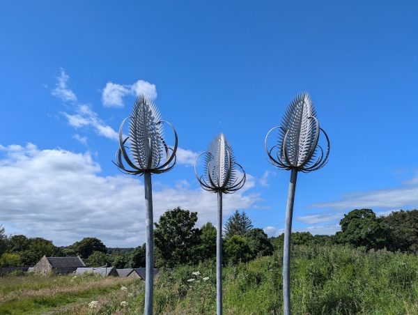 Muiravonside Country Park