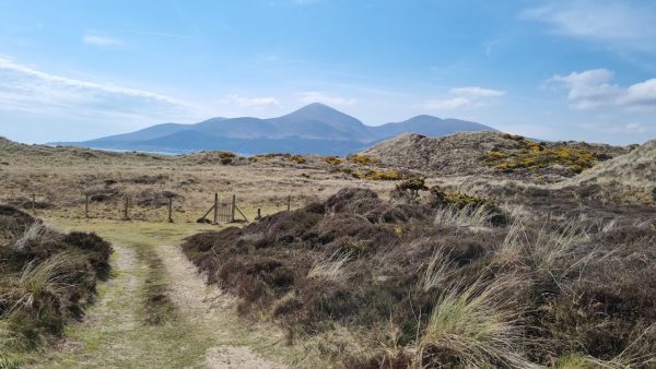 Murlough National Nature Reserve