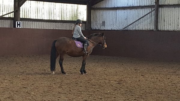 Murton Equestrian Centre