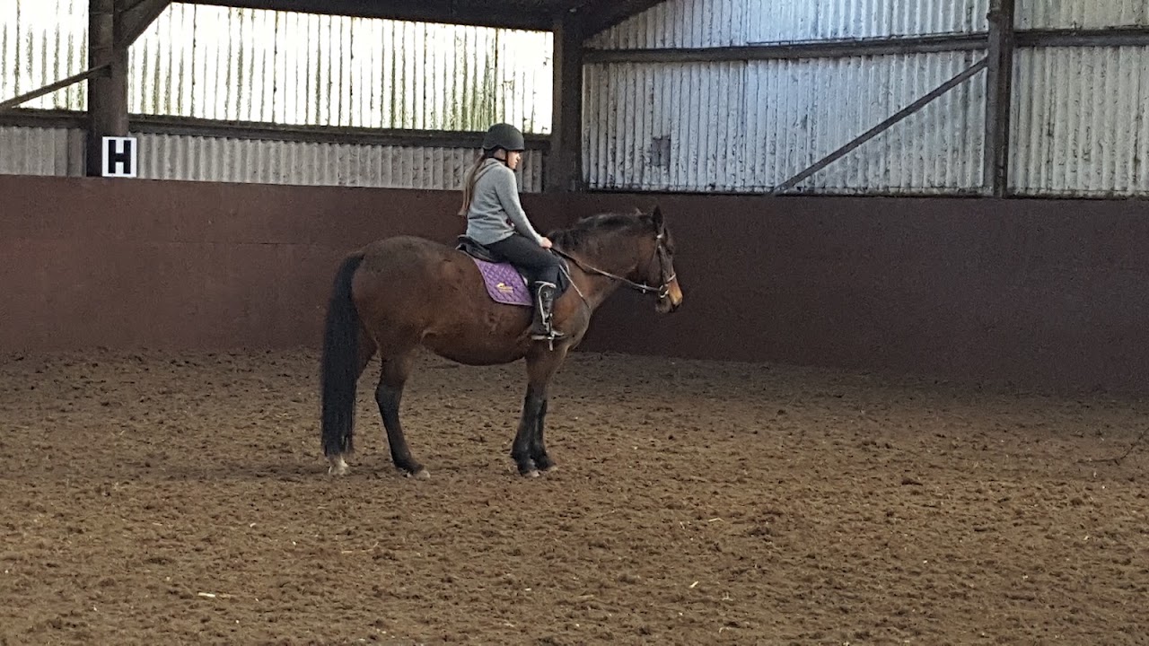 Murton Equestrian Centre