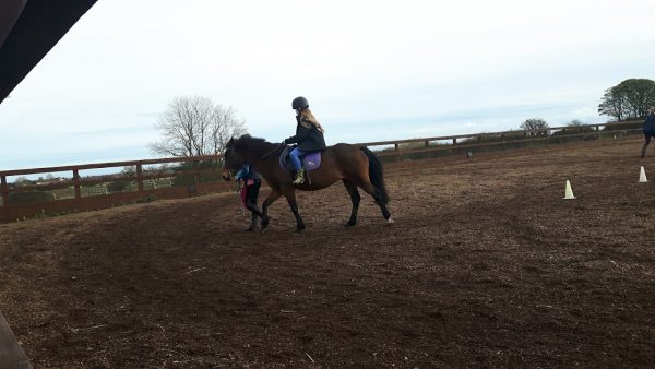 Murton Equestrian Centre