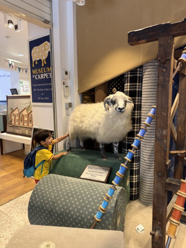 Museum of Carpet