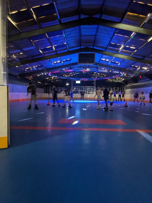 My Skateworld