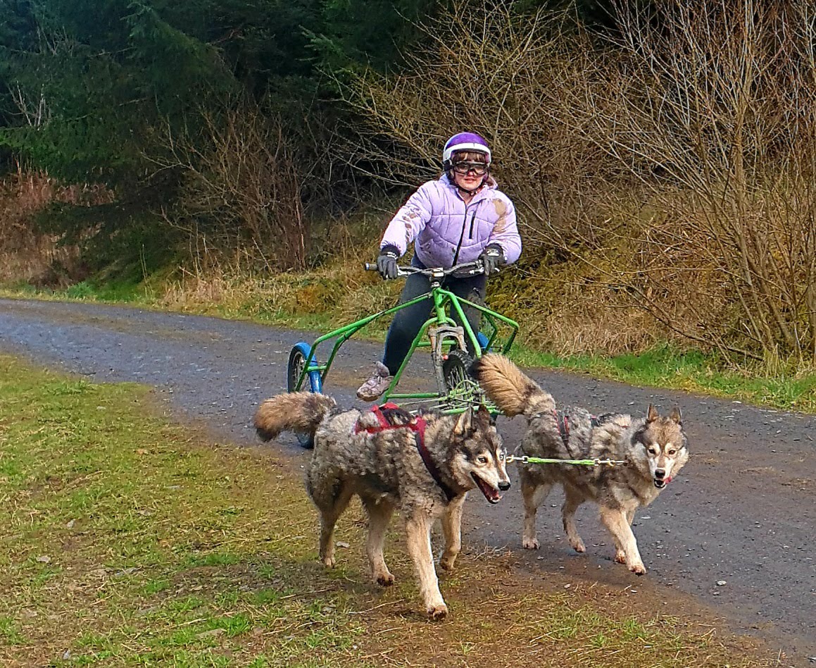 Mynydd Sleddog Adventures Ltd