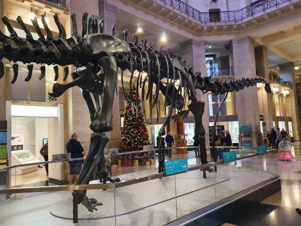 National Museum Cardiff