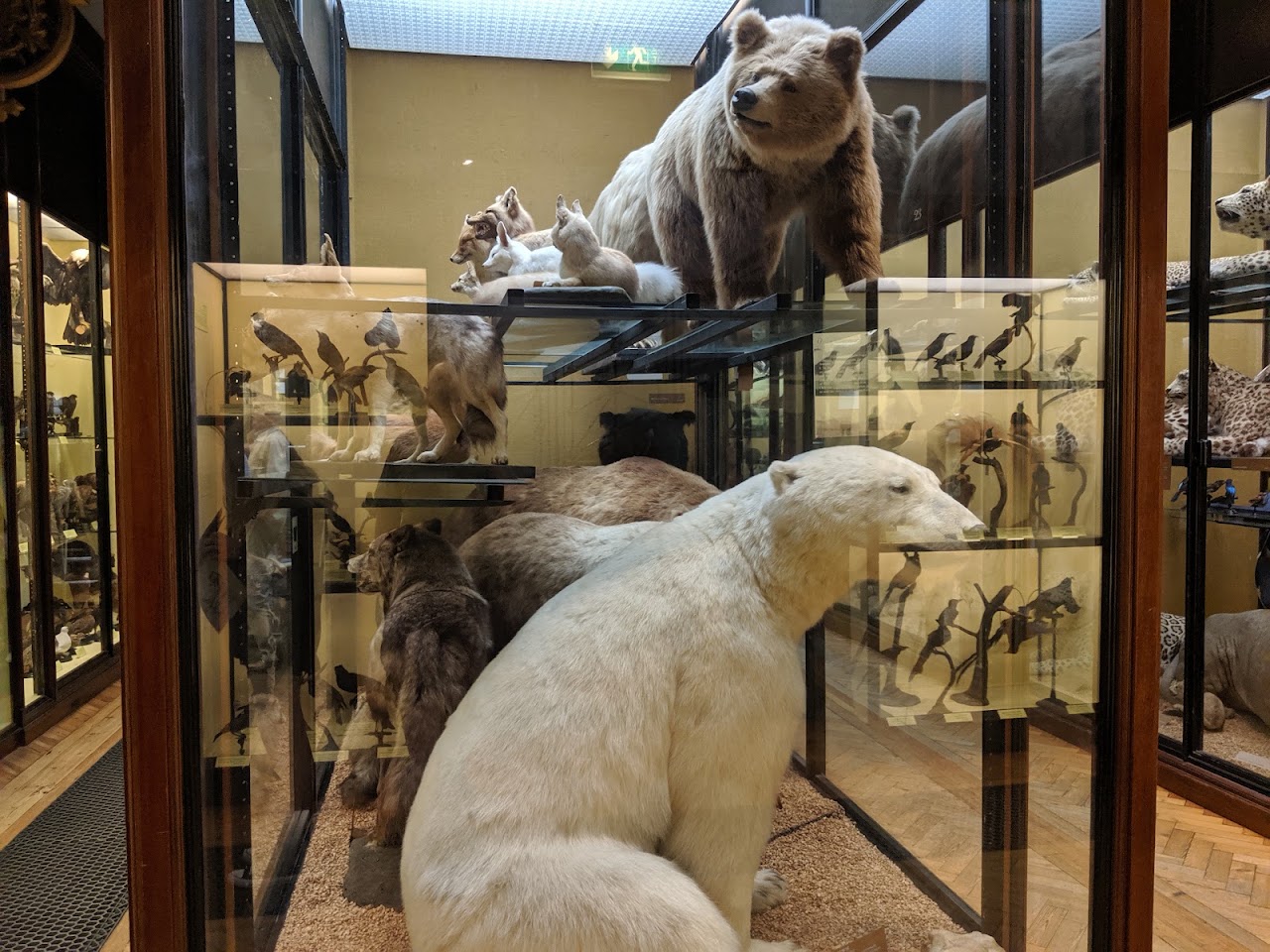 Natural History Museum at Tring