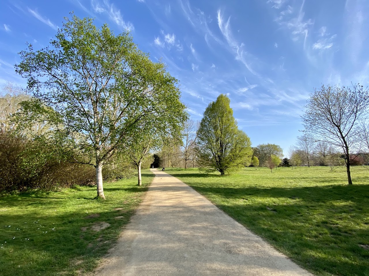 Natural Wanders Challenge - University Parks, Oxford