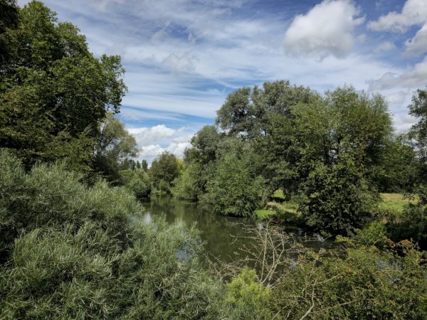 Natural Wanders Challenge - University Parks, Oxford