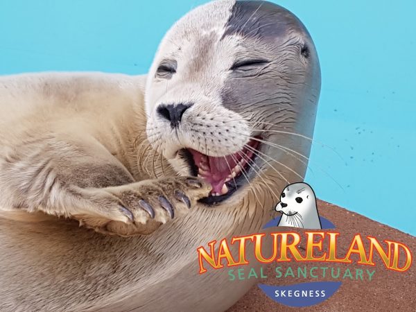 Natureland Seal Sanctuary