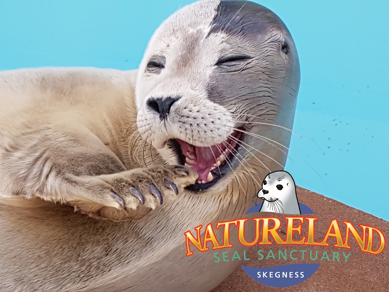 Natureland Seal Sanctuary