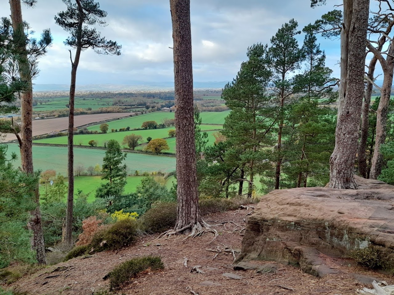 Nesscliffe Hill Country Park