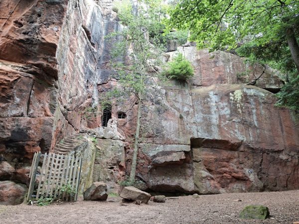 Nesscliffe Hill Country Park