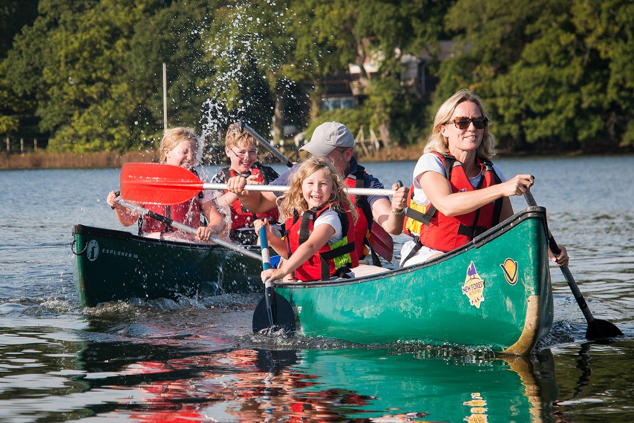 New Forest Activities