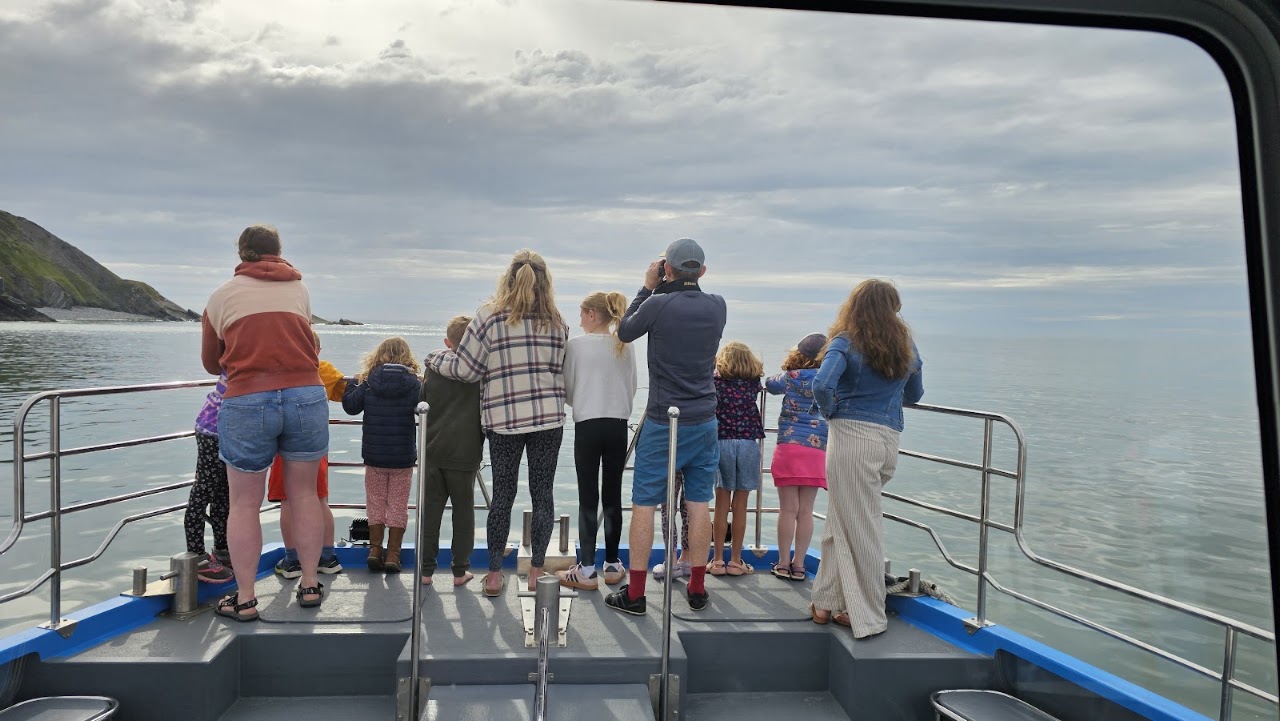 New Quay Boat Trips