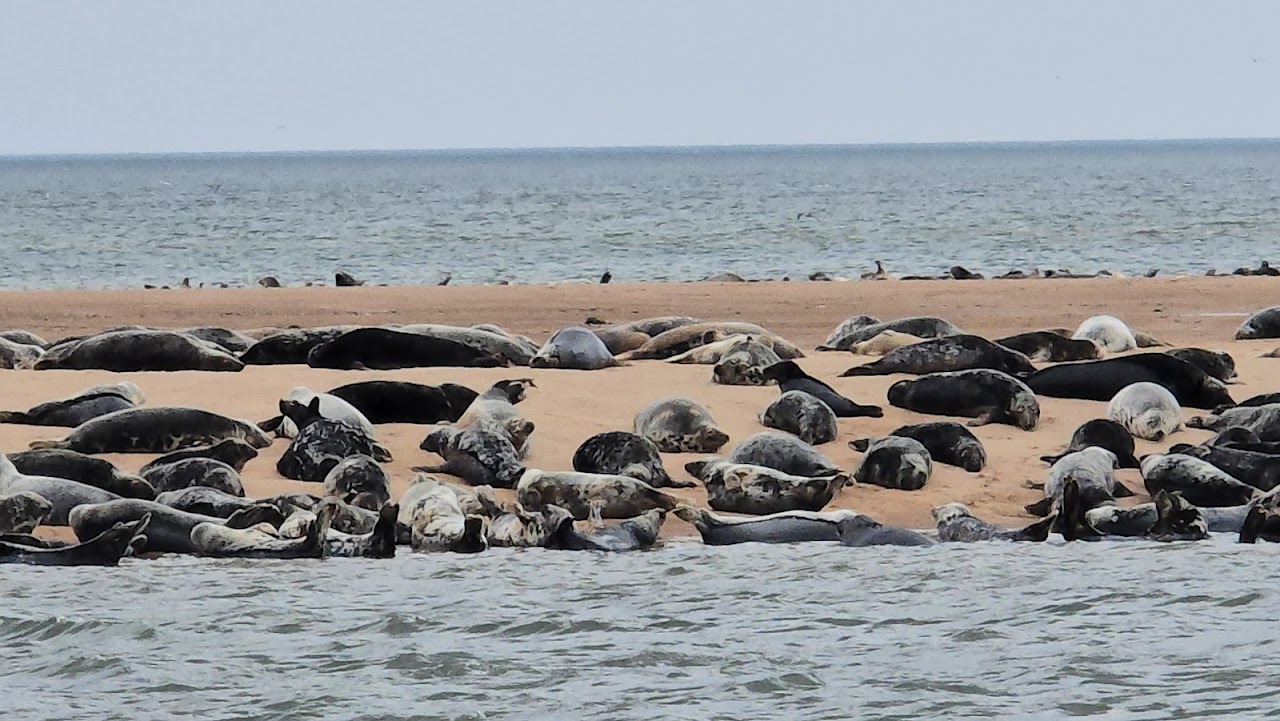 Newburgh Beach