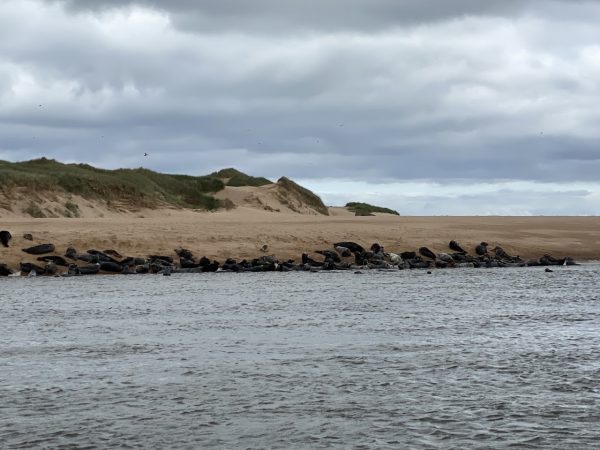 Newburgh Beach