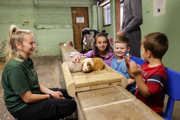 Newham Grange Country Farm