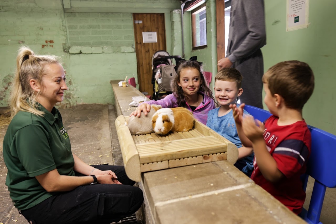 Newham Grange Country Farm