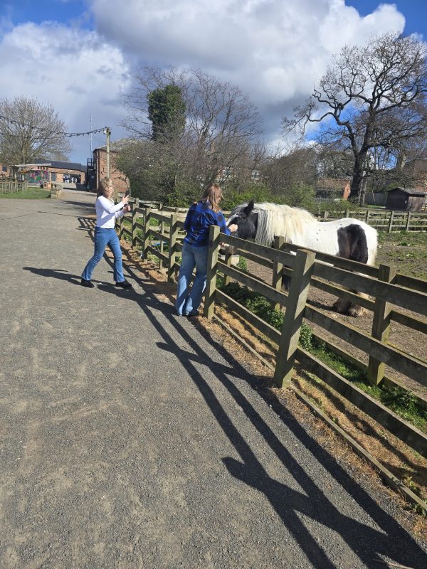 Newham Grange Country Farm