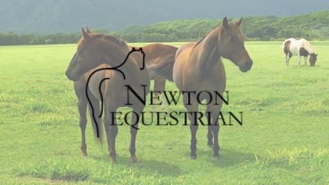 Newton Equestrian