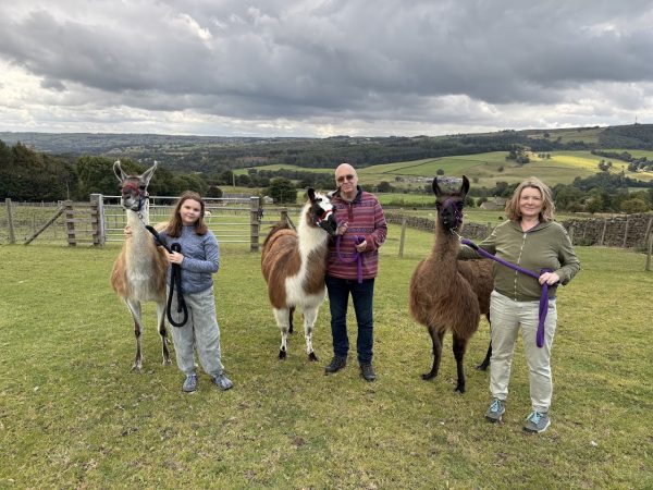 Nidderdale Llamas