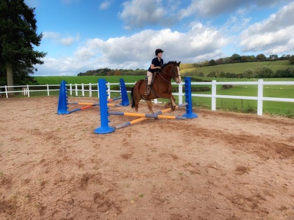 Noakes Farm Riding Centre