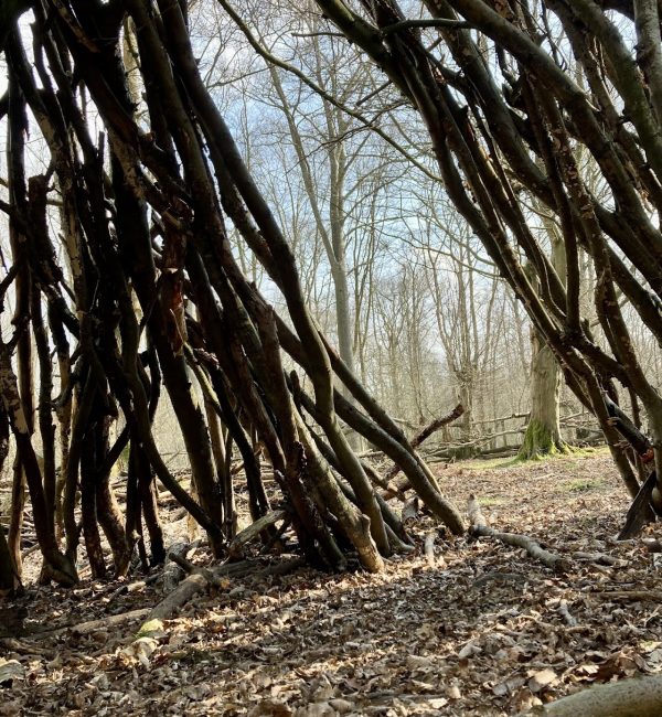 Northaw Great Wood