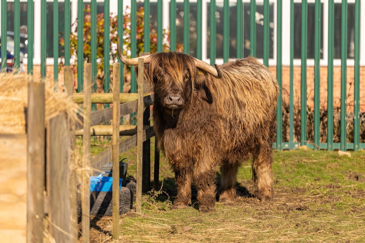 Nunny's Farm