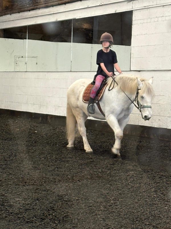 Oakhanger Riding and Pony Club Centre